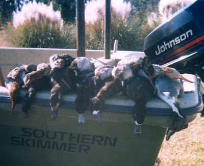 duck hunting in eastern North Carolina